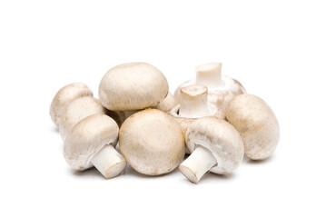 Champignon mushroom isolated on white background