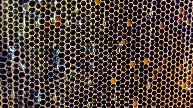 Hexagon structure is honeycomb from bee hive filled with golden honey