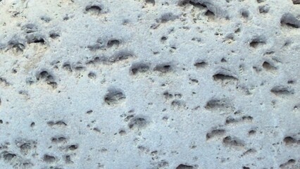  Porous pumice rock surface with numerous irregular holes and indentations scattered across a light, off-white background under natural light
