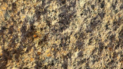 Close-up of natural granite rock surface with coarse-grained texture and speckled mineral pattern in shades of gray, white, black, and orange-brown under directional light