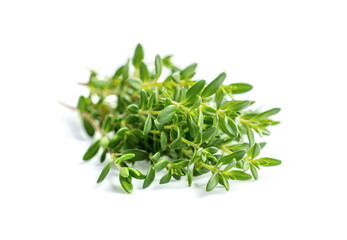 Thyme fresh isolated on white background.