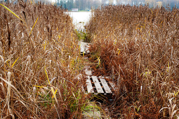 autumn landscape, lake shore, day by the lake, old wooden boardwalk on the shore of the lake, Vaidava Lake, Latvia