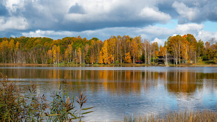 colorful lake shore, charming sunny autumn day, gold leaves cover trees and ground, clouds are reflected in the calm water surfac