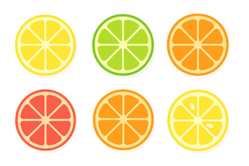 Vibrant cross sections of lemon, lime, orange, and grapefruit citrus fruits arranged on a white background