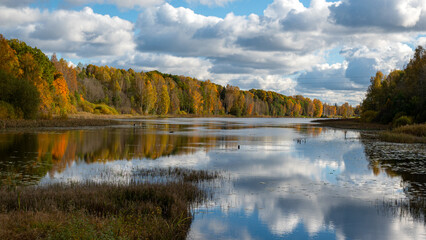 colorful lake shore, charming sunny autumn day, gold leaves cover trees and ground, clouds are reflected in the calm water surfac