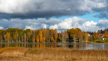 colorful lake shore, charming sunny autumn day, gold leaves cover trees and ground, clouds are reflected in the calm water surfac