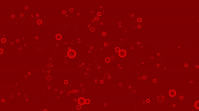 Flying bubble animation many small and large red transparent spheres float in a whimsical animated dance.