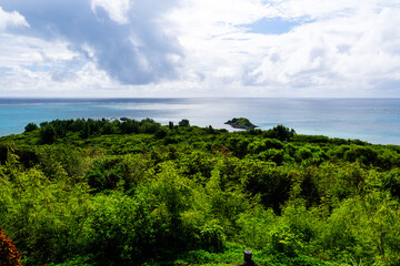 石垣島で見つけた南国の豊かな大自然を感じる風景