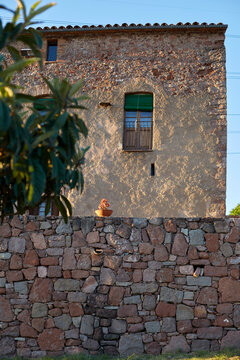 Rustic stone building facade with window and plant