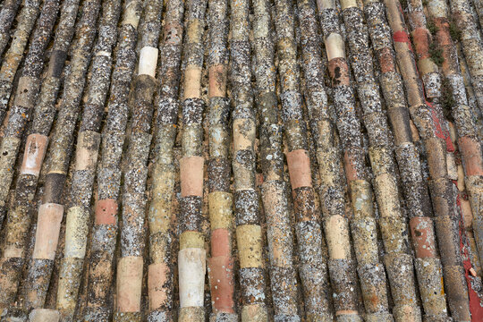 Weathered terracotta roof tiles in rustic rural setting