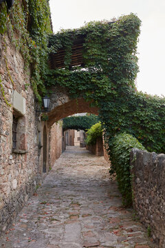 Rustic cobblestone alley in ivy-covered medieval village