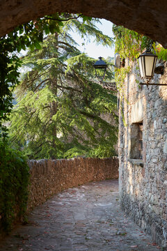 Serene alley in a picturesque rural village setting
