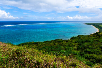 石垣島で見つけた南国の豊かな大自然を感じる風景