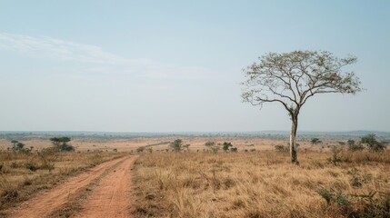 Obraz premium Benin landscape sandy coast and savanna plains beautiful nature view