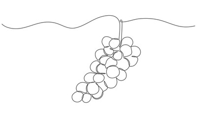 Self drawing line animation healthy organic grapes Fresh tropical fruitage continuous one single line drawn concept video, Abstract bunch of grapes. continuous single one line art hand drawing sketch 