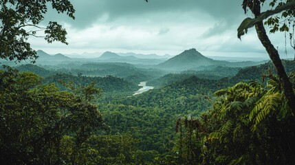 Gabon landscape rainforests and Atlantic beaches beautiful nature view