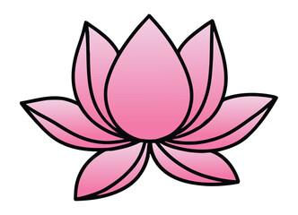 Beautiful Pink Lotus Flower Illustration Blooming with Serene Petals and Black Outline