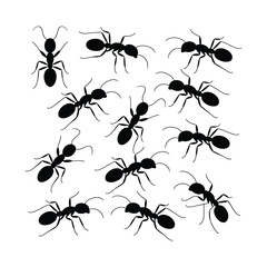 Group of ant silhouettes vector illustration