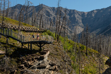 Two women on overlook bridge with mountain backdrop and trees on a sunny day.