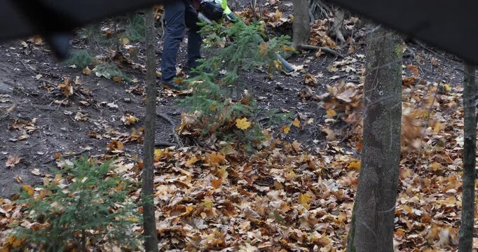 Worker uses a gas leaf blower on a forested slope, whipping dry leaves into motion. Overcast fall day; earthy colors and flying debris evoke change, maintenance, and the season's restless energy.
