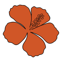 Beautiful Tropical Flower Illustration Vibrant Orange Petals Botanical Design Element