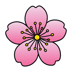 Beautifully Illustrated Pink Cherry Blossom Flower Design Element for Spring Decorations