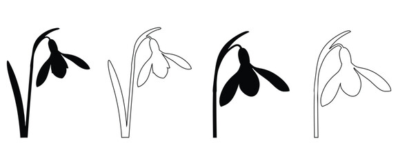 Minimalist Snowdrop Flower Silhouette and Outline Illustrations Pack