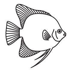 Detailed Freshwater Angelfish Line Art Illustration for Educational Resources
