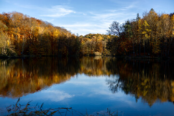 las, jezioro, jesień, liście, drzewa, kolory, woda,staw © Estera