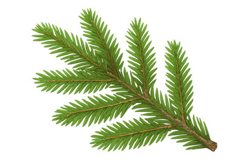 Obraz premium Fir tree branch with green needles, creating a natural element for winter holiday and christmas design