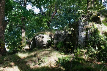 Rocks and foliage cover a raised area under trees in a natural setting in Bowness-on-Windermere - Lake District - UK