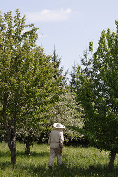 beekeeper walking in orchard