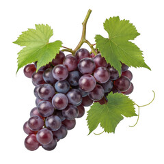 Fototapeta premium Grapes cluster with green leaf on stem juicy fruit produce food isolated on transparent background