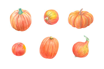 Orange pumpkin set. Watercolor and colored pencil illustration of a Hokkaido pumpkin, Jack-o'-lantern, and Jack be Little on a white background. Fall harvest gourd