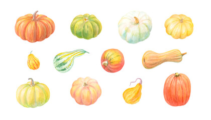 Pumpkin watercolor and colored pencils collection. Hand painted ripe autumn harvest vegetables isolated on white background. Orange, yellow, green and blue gourd set