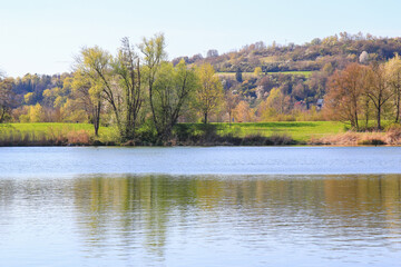 Peaceful Spring Walk Along Idyllic Country Road Near Danube Lake in Regensburg