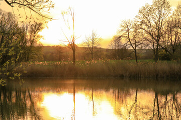 Peaceful Spring Walk Along Idyllic Country Road Near Danube Lake in Regensburg