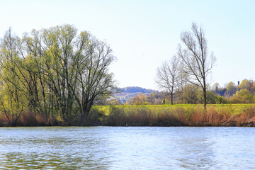 Peaceful Spring Walk Along Idyllic Country Road Near Danube Lake in Regensburg