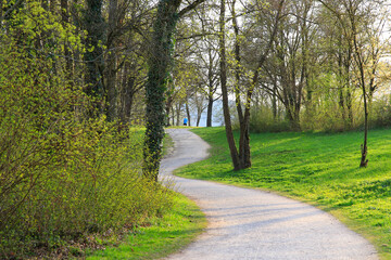 Peaceful Spring Walk Along Idyllic Country Road Near Danube Lake in Regensburg