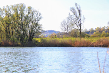 Peaceful Spring Walk Along Idyllic Country Road Near Danube Lake in Regensburg