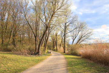 Peaceful Spring Walk Along Idyllic Country Road Near Danube Lake in Regensburg