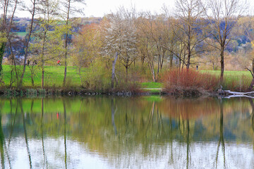 Peaceful Spring Walk Along Idyllic Country Road Near Danube Lake in Regensburg