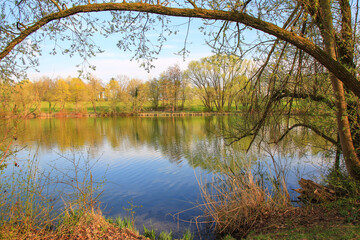 Peaceful Spring Walk Along Idyllic Country Road Near Danube Lake in Regensburg