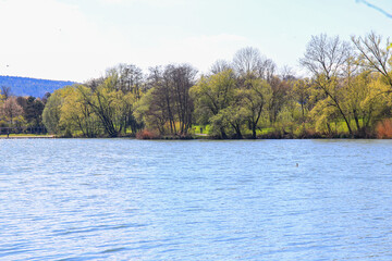 Peaceful Spring Walk Along Idyllic Country Road Near Danube Lake in Regensburg