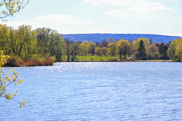Peaceful Spring Walk Along Idyllic Country Road Near Danube Lake in Regensburg