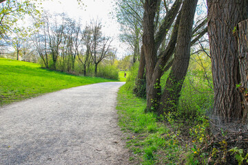 Peaceful Spring Walk Along Idyllic Country Road Near Danube Lake in Regensburg