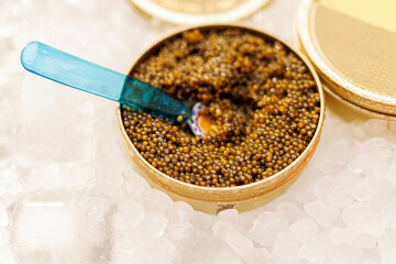 Caviar tin on ice with plastic spoon