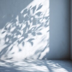 Leaf Shadows On White Concrete Wall
