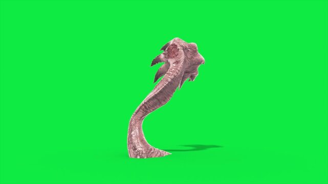 Green Screen Sunflower Tentacle Monster Attack front 3D Animation Rendering CGI 4K Horror