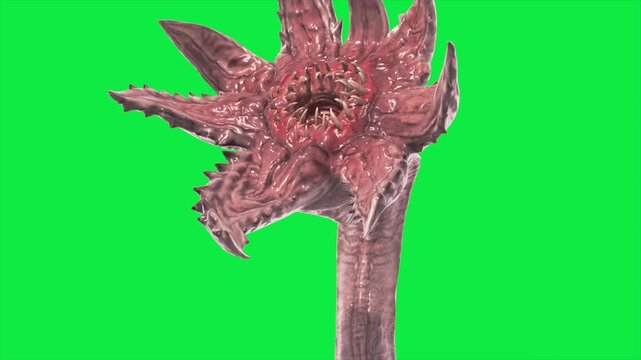 Green Screen Sunflower Tentacle Monster Close up 3D Animation Rendering CGI 4K Horror